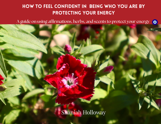 Red flower with green leaves and text overlay about protecting energy. A eBook guide on using affirmations herbs, and scents to protect your energy.